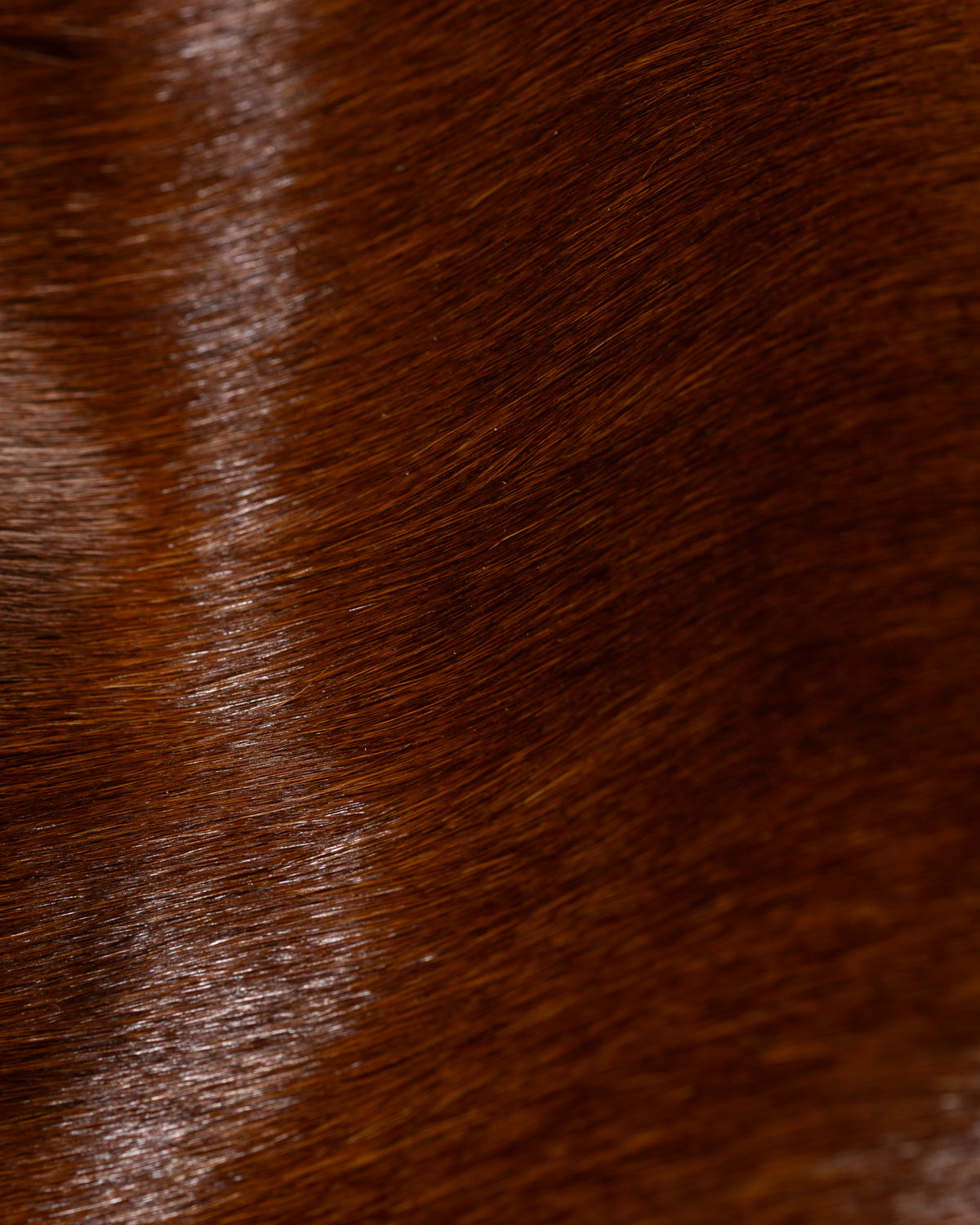 Attractions King Shawl Jacket - Brown Hair on Hide - Standard & Strange