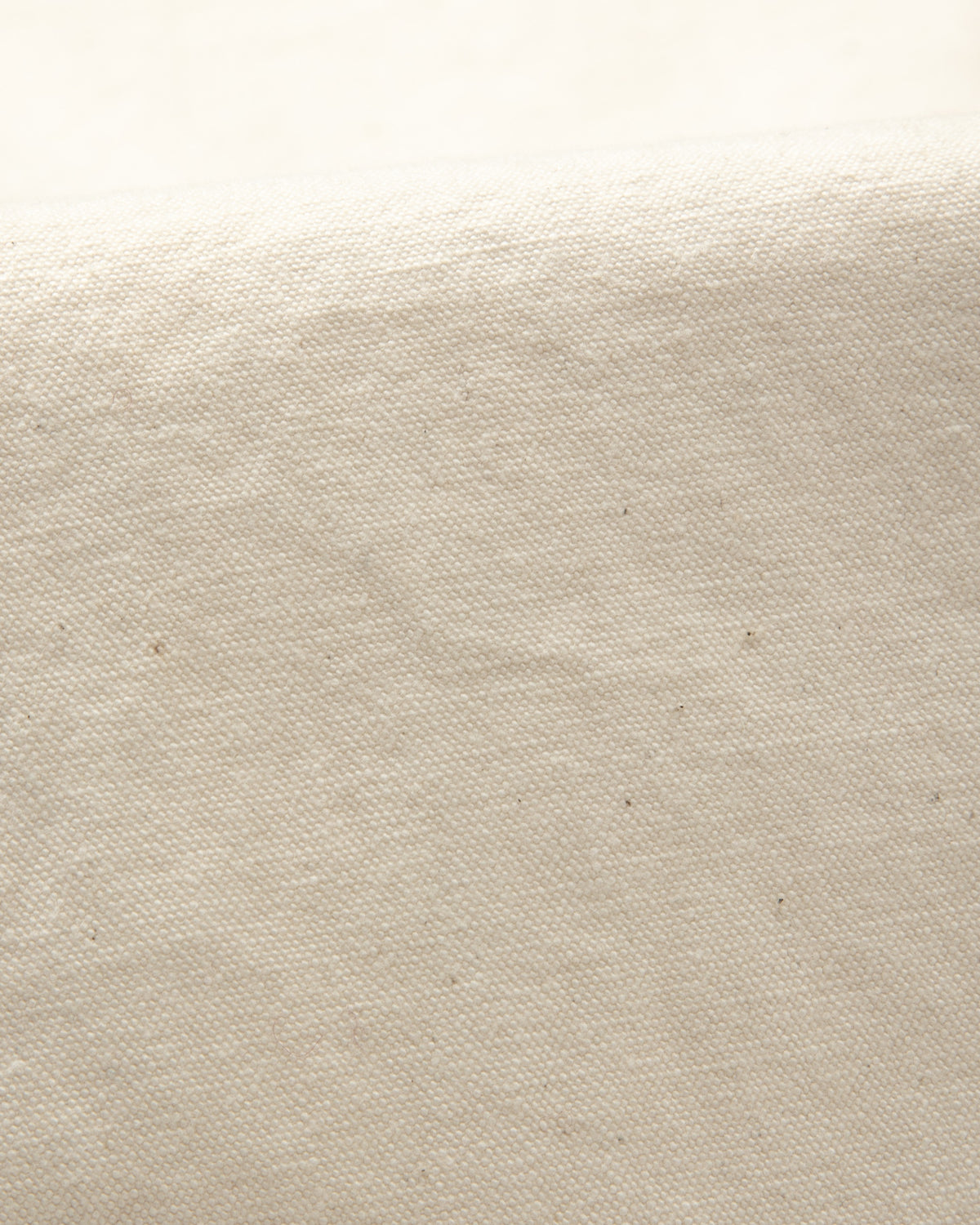 Freenote Wilkes Western Cut - 11oz Natural Rinsed Canvas - Standard & Strange