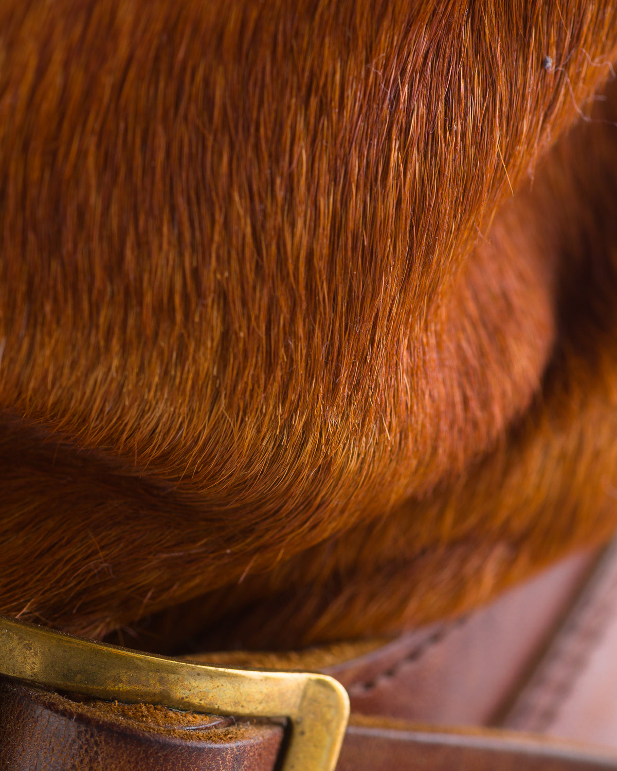 S&S x Attractions 444 Engineer Boot - Brown Horsehair